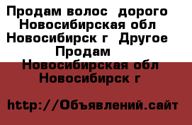 Продам волос, дорого - Новосибирская обл., Новосибирск г. Другое » Продам   . Новосибирская обл.,Новосибирск г.